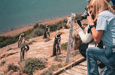 Las excursiones más elegidas e imperdibles en Puerto Madryn (Guia completa)